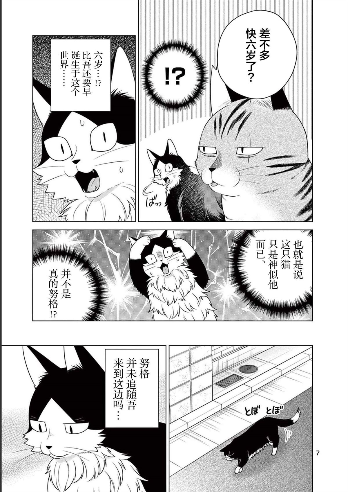 第24话 小猫和努格