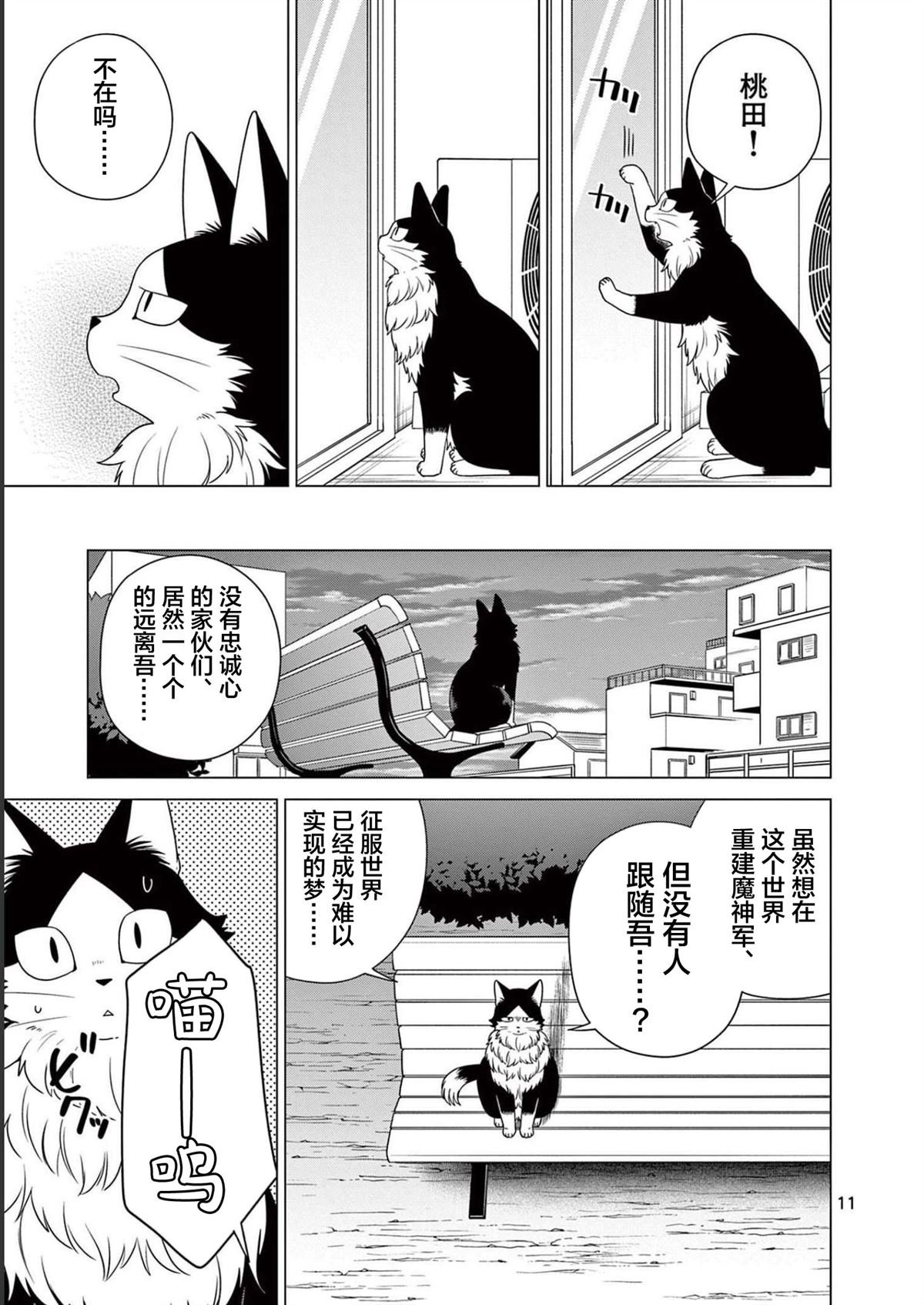 第24话 小猫和努格
