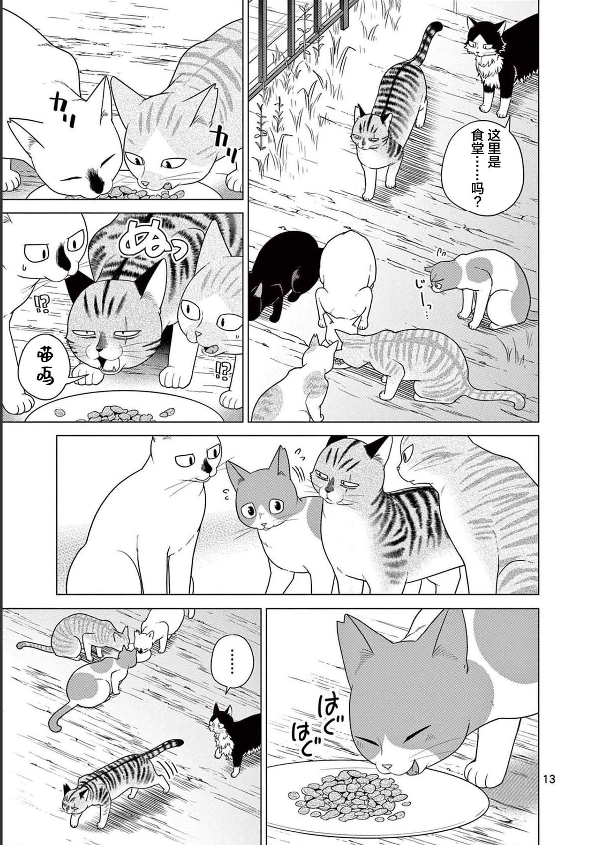 第24话 小猫和努格
