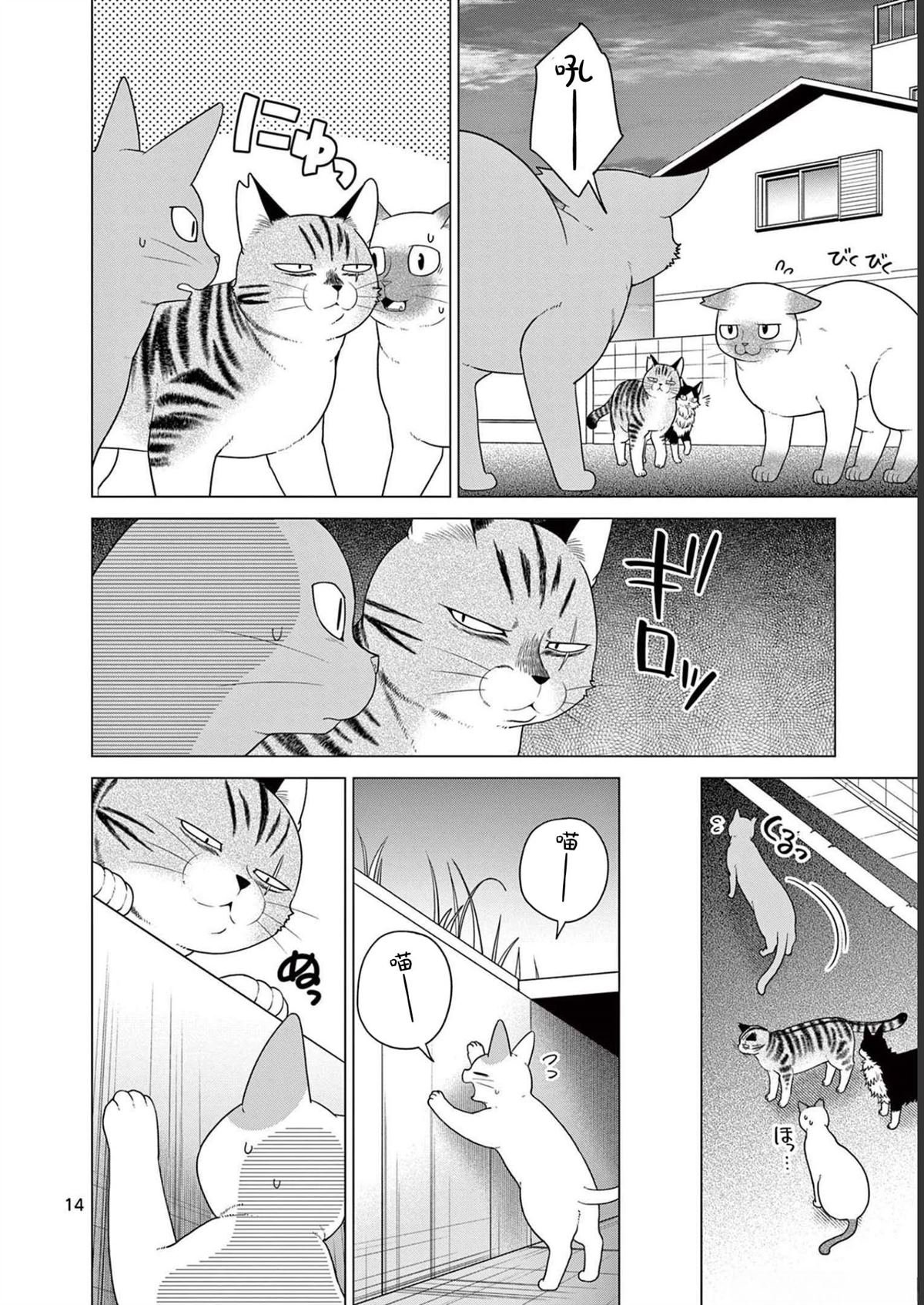 第24话 小猫和努格