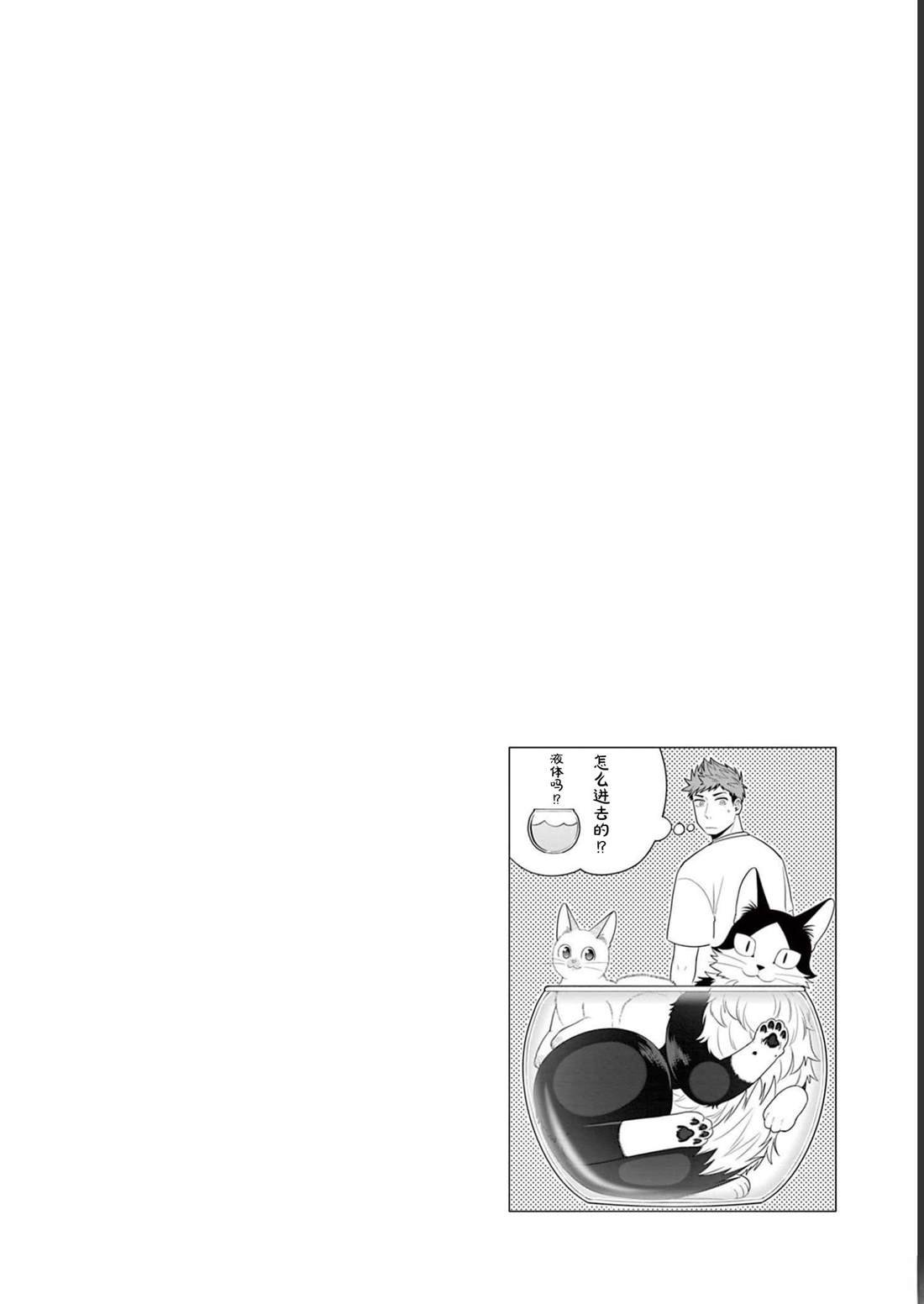 第28话 一直待在我家吧
