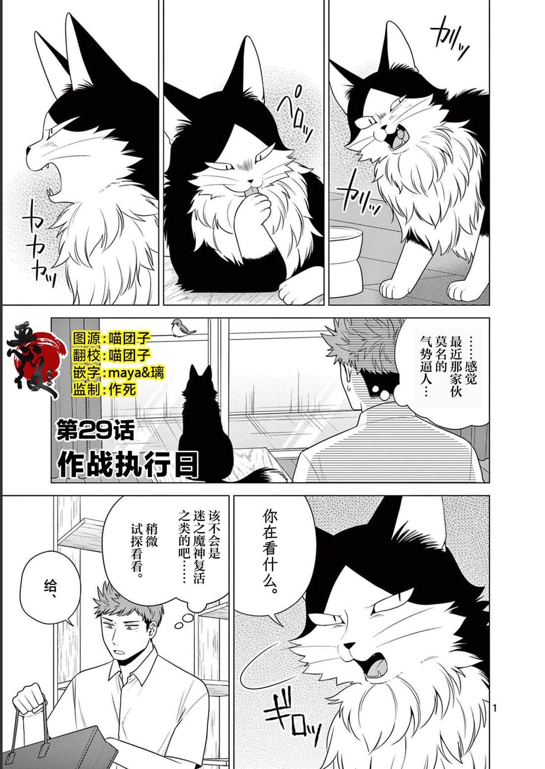 第29话 作战执行日