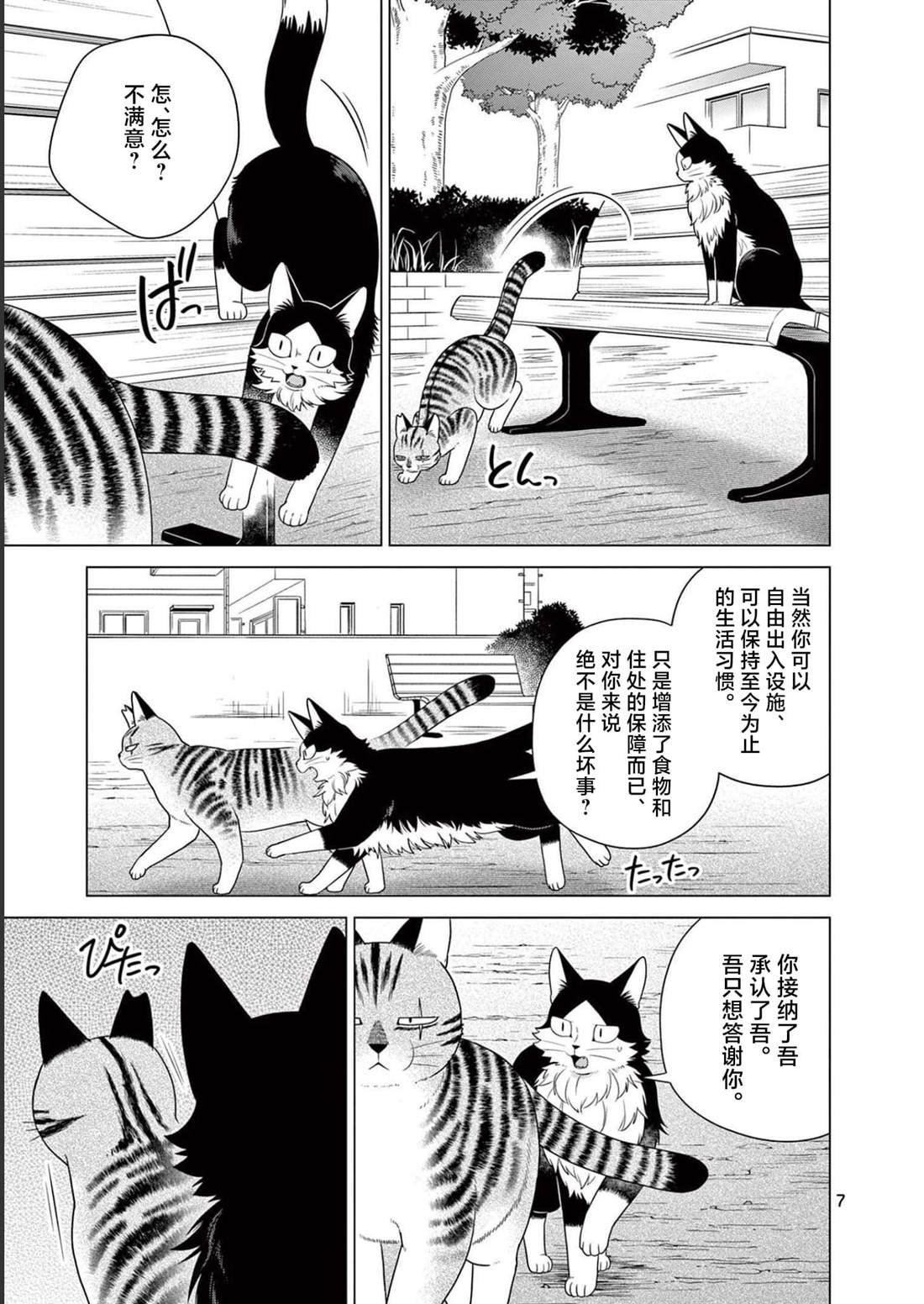 第29话 作战执行日