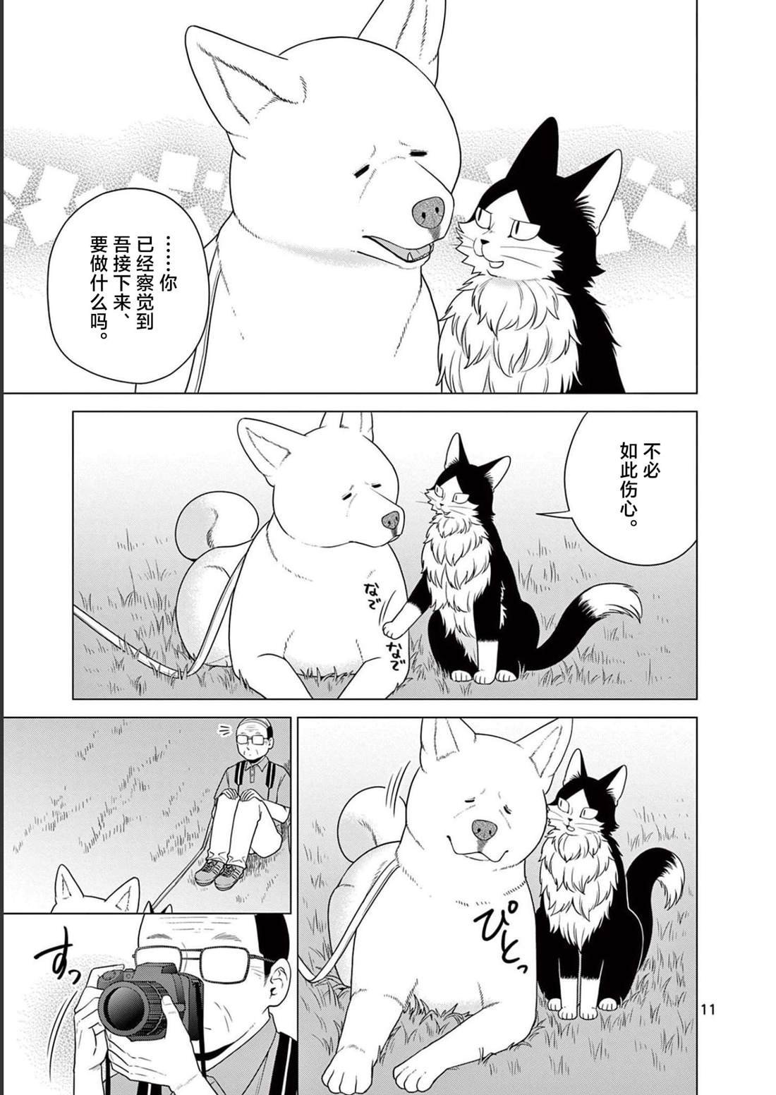 第29话 作战执行日