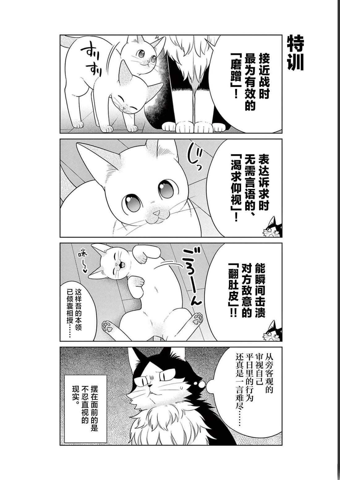 第29话 作战执行日