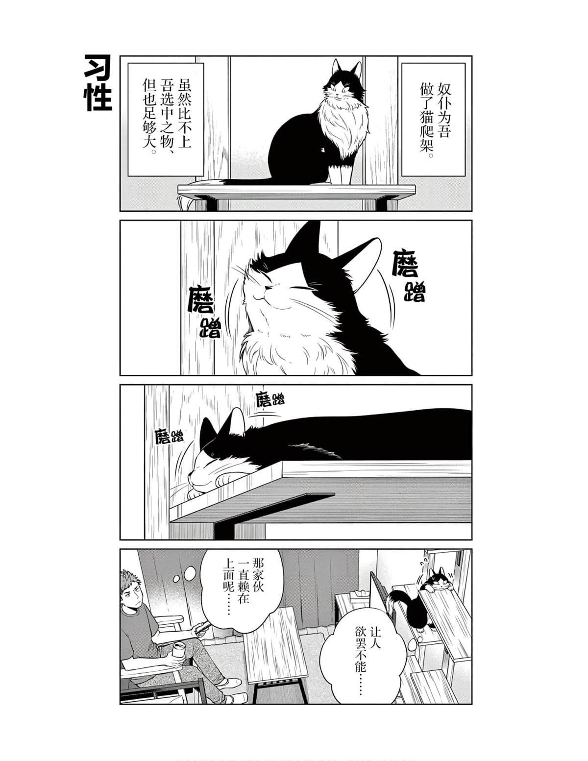 第3话 以高处为目标