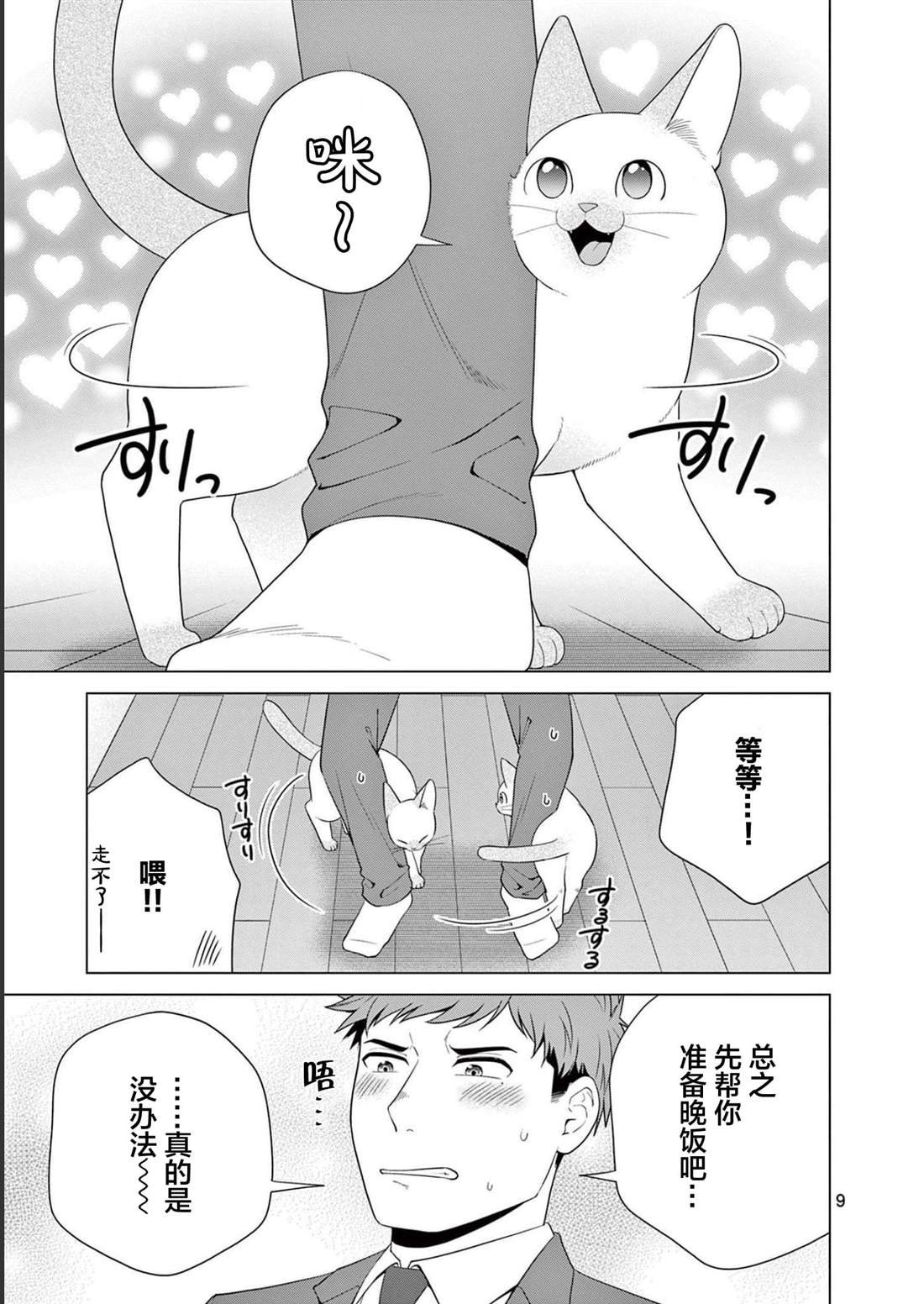 第31话 猫咪的奴仆