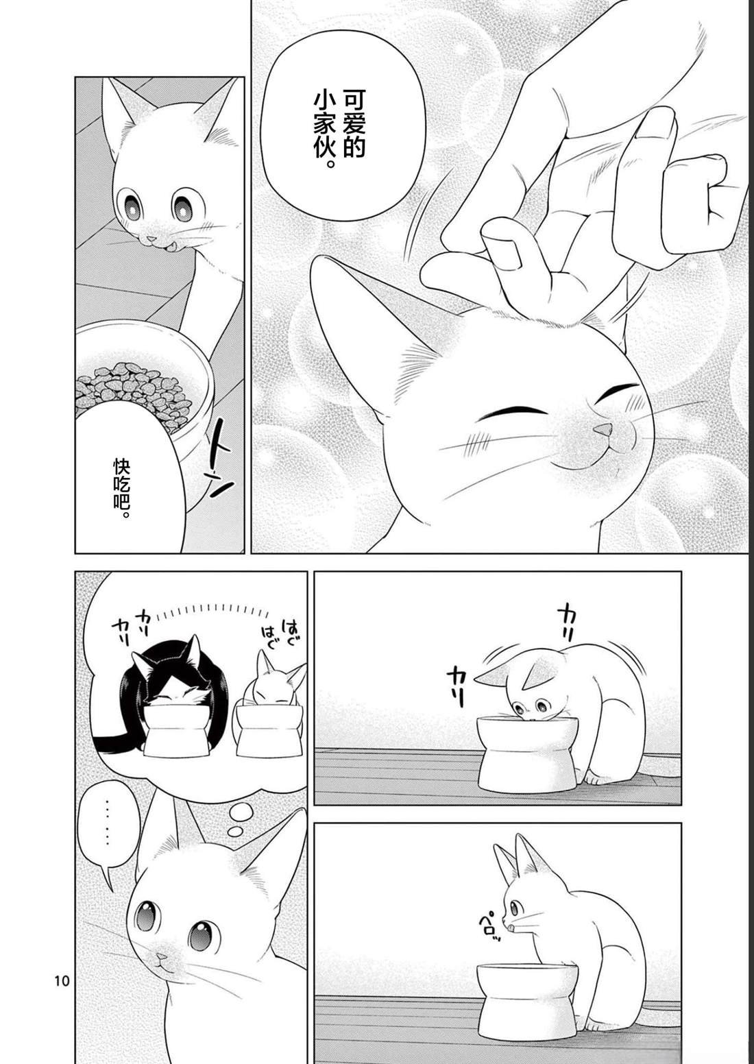 第31话 猫咪的奴仆