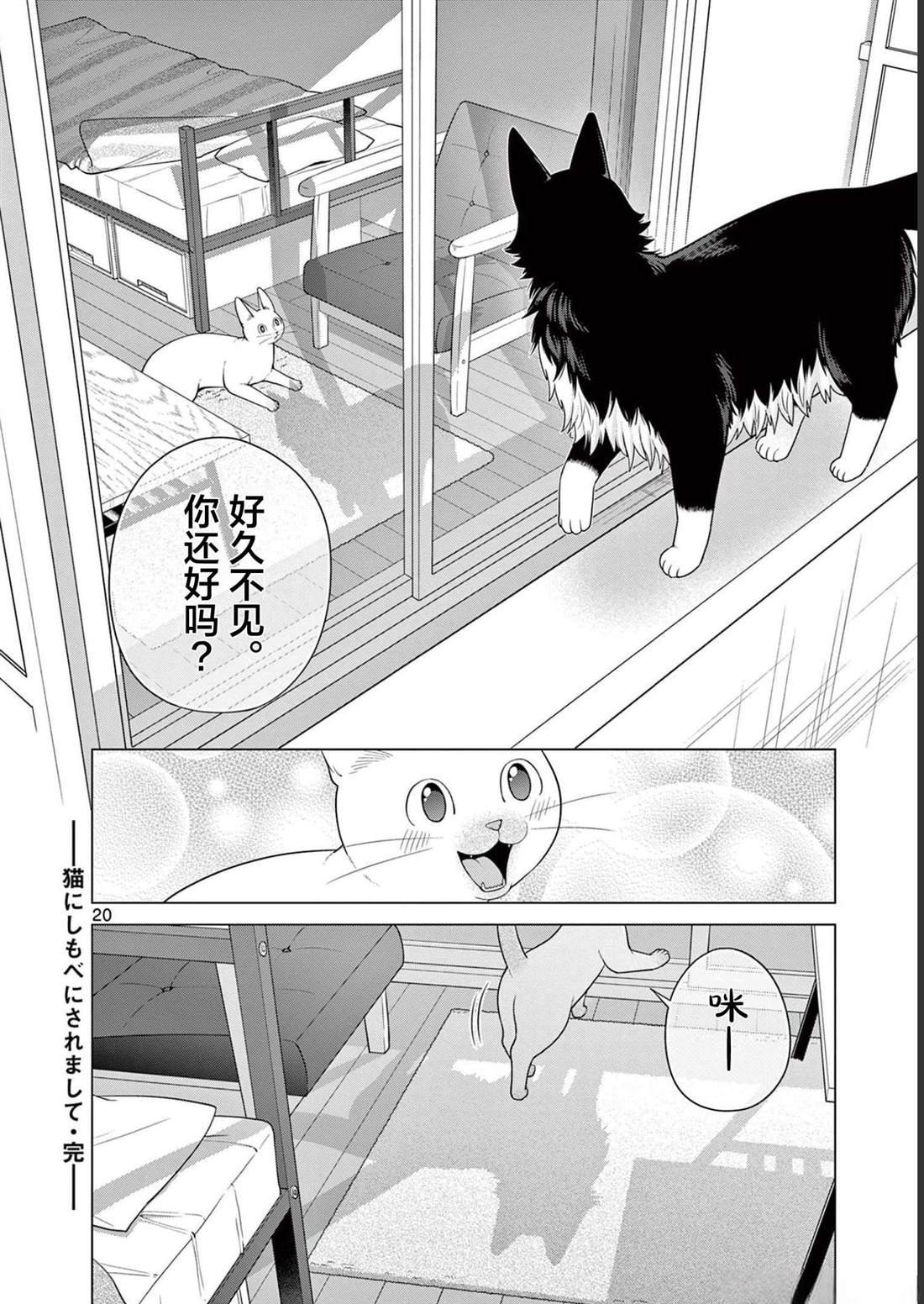 第31话 猫咪的奴仆