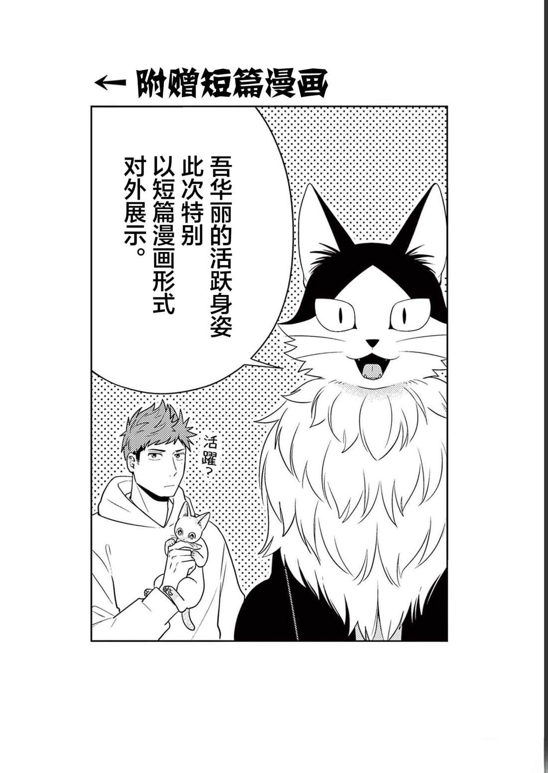 第31话 猫咪的奴仆