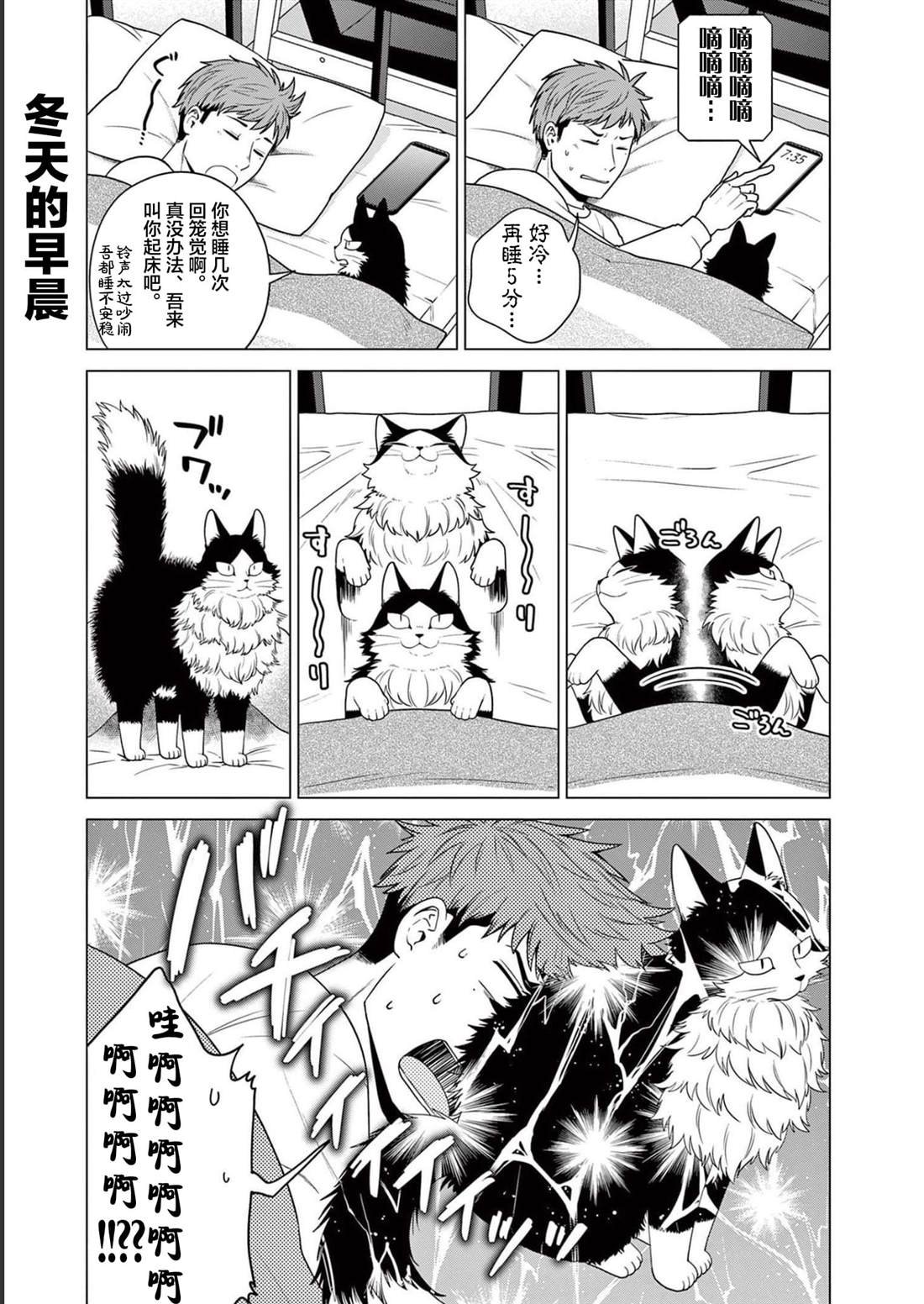 第31话 猫咪的奴仆