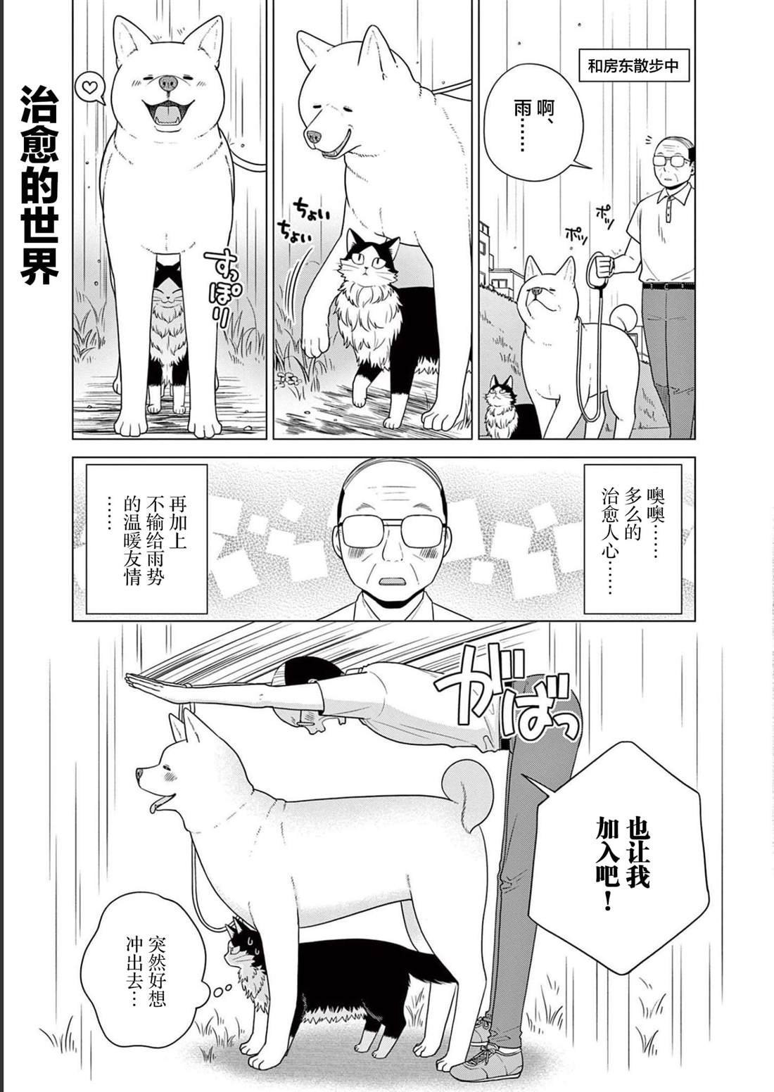 第31话 猫咪的奴仆