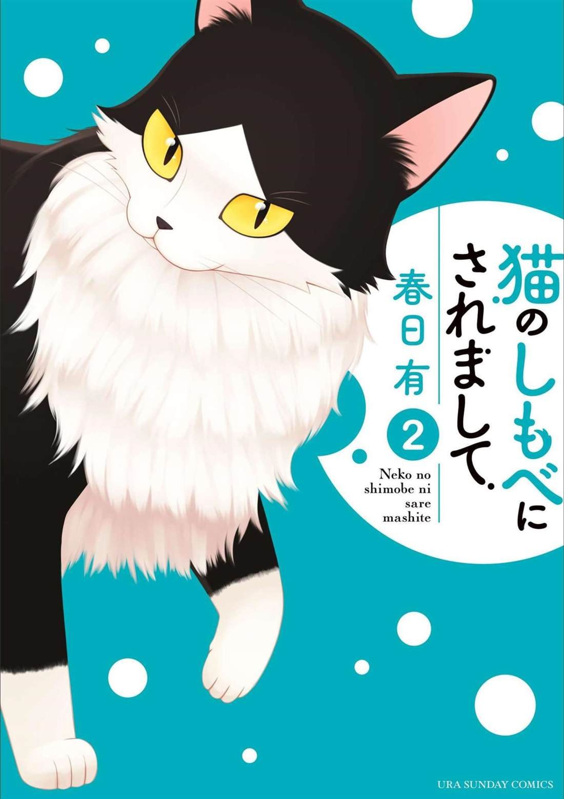第8话 对决
