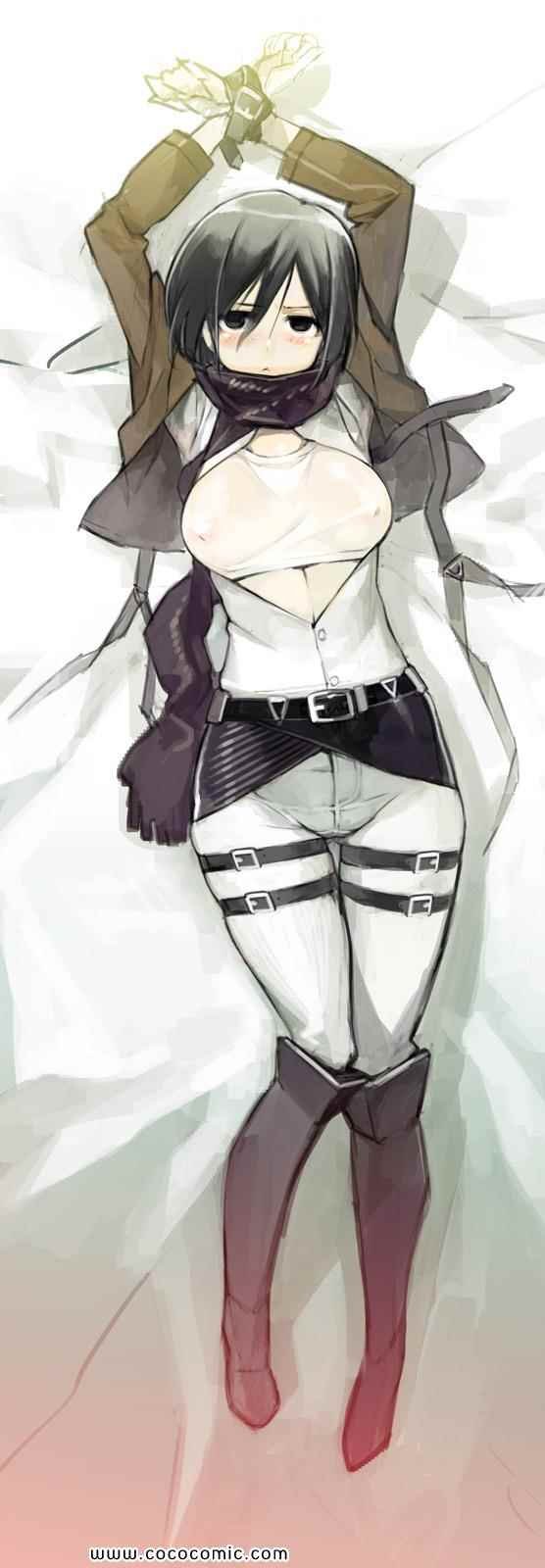 同人彩图