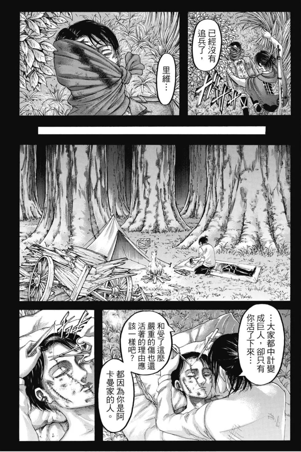 第31卷