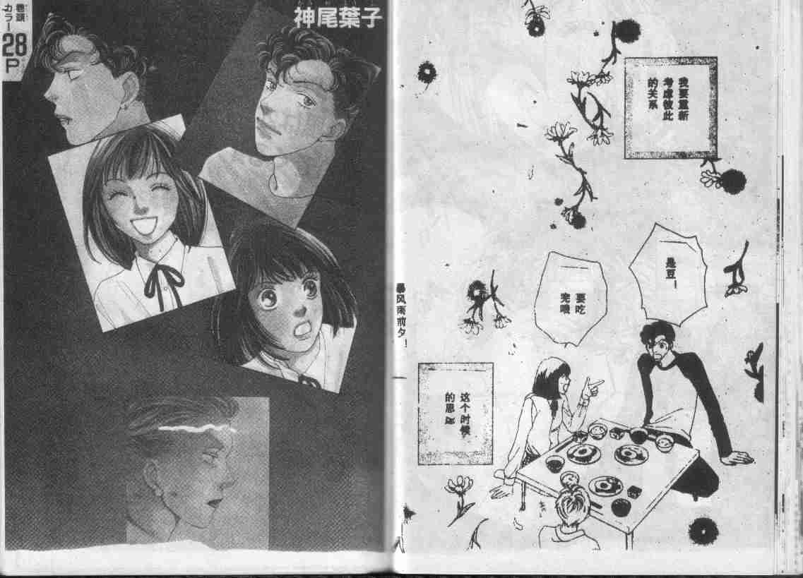 第28卷