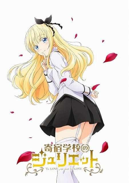 动画化决定