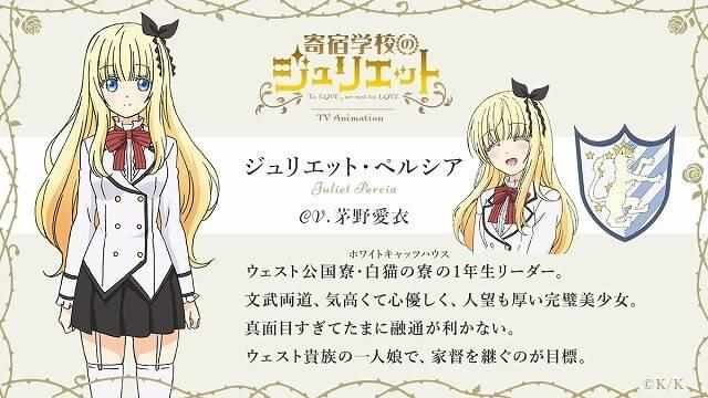 动画化决定
