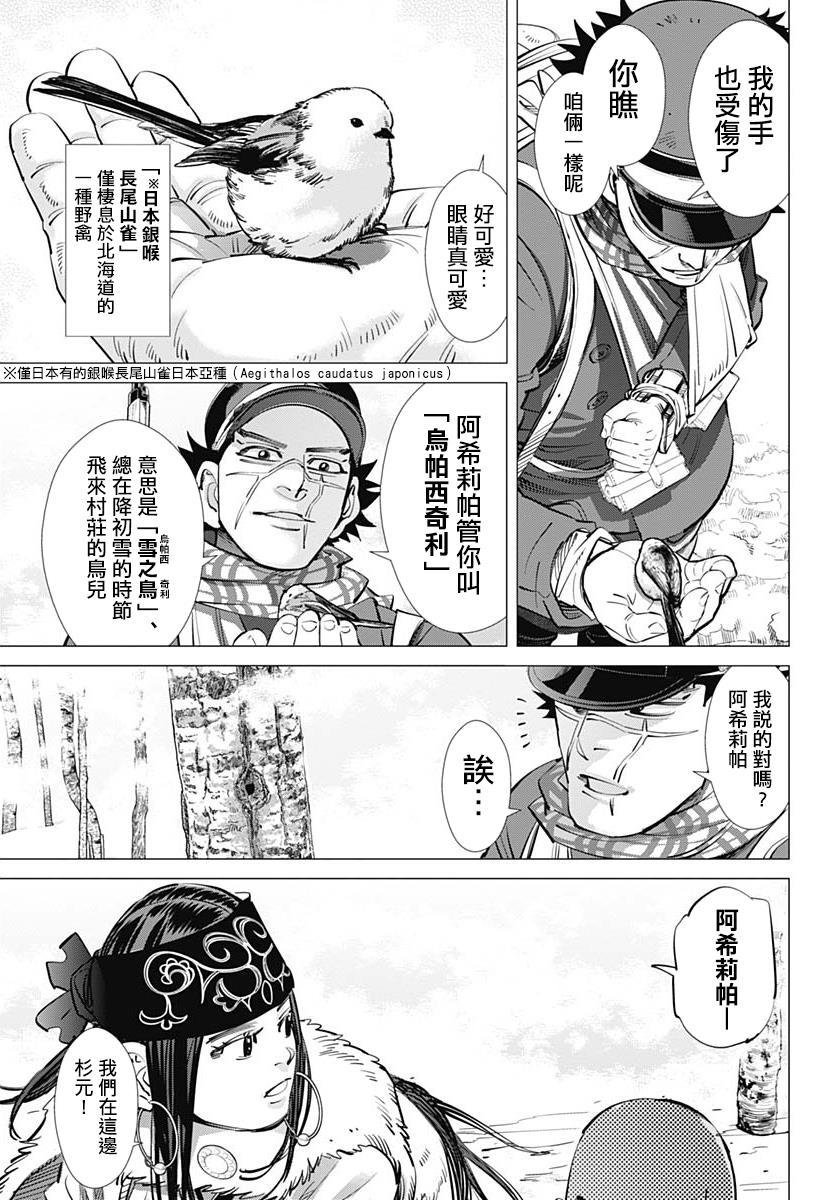 第228话 银喉长尾山雀