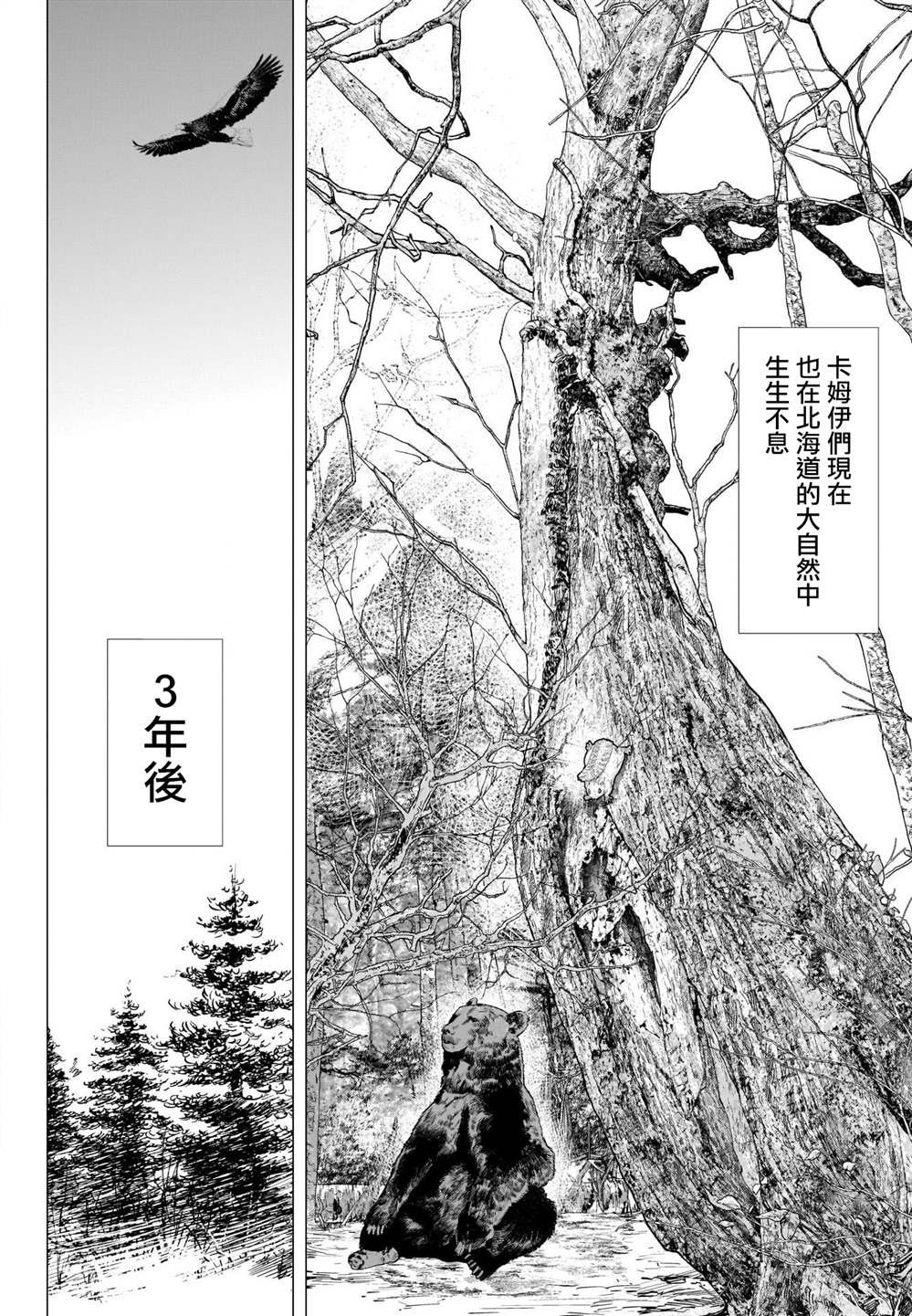 第314话 大团圆