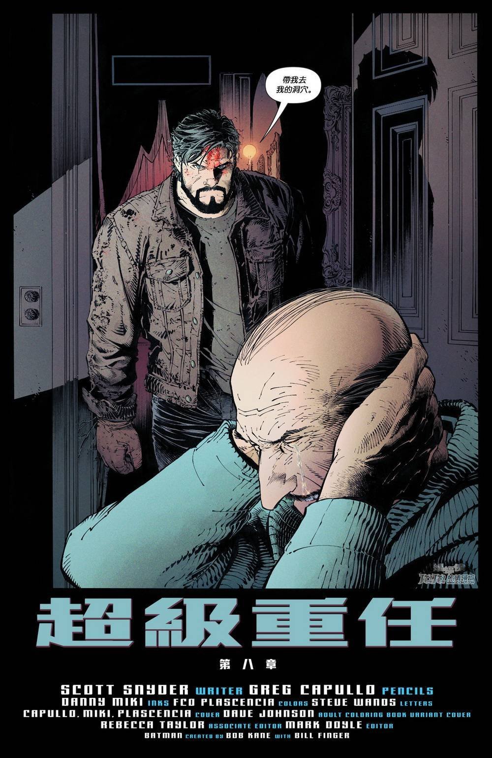 第48卷