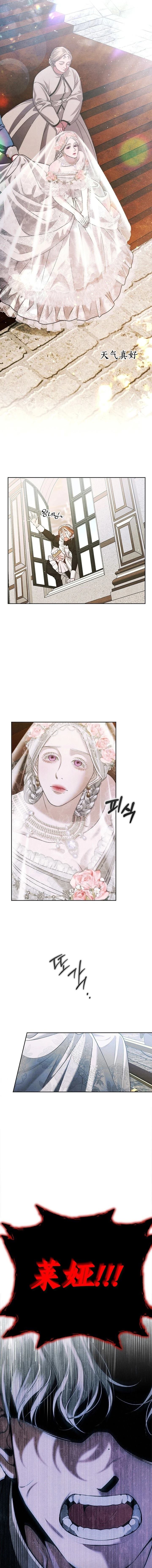 前言