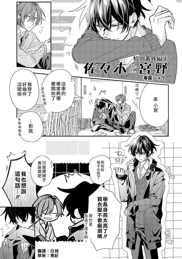 特别番外篇