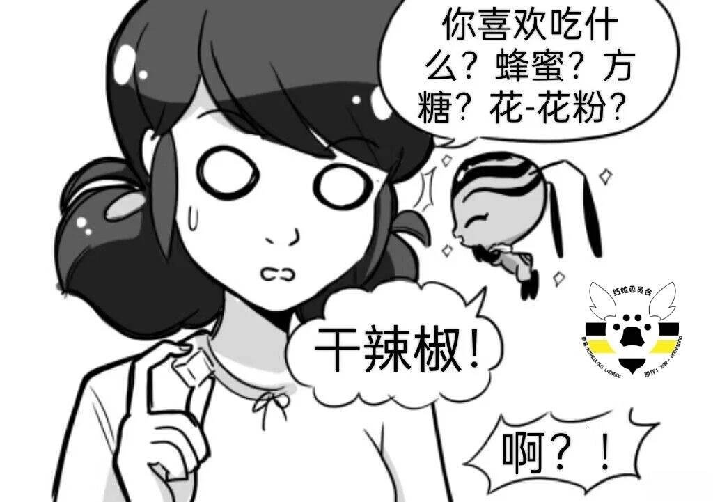 第03季01话