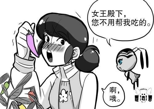 第03季04话