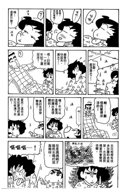 第31卷