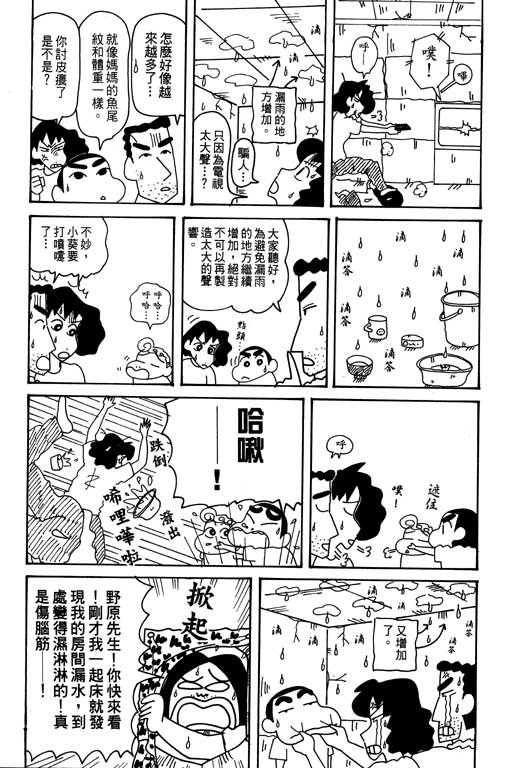 第31卷