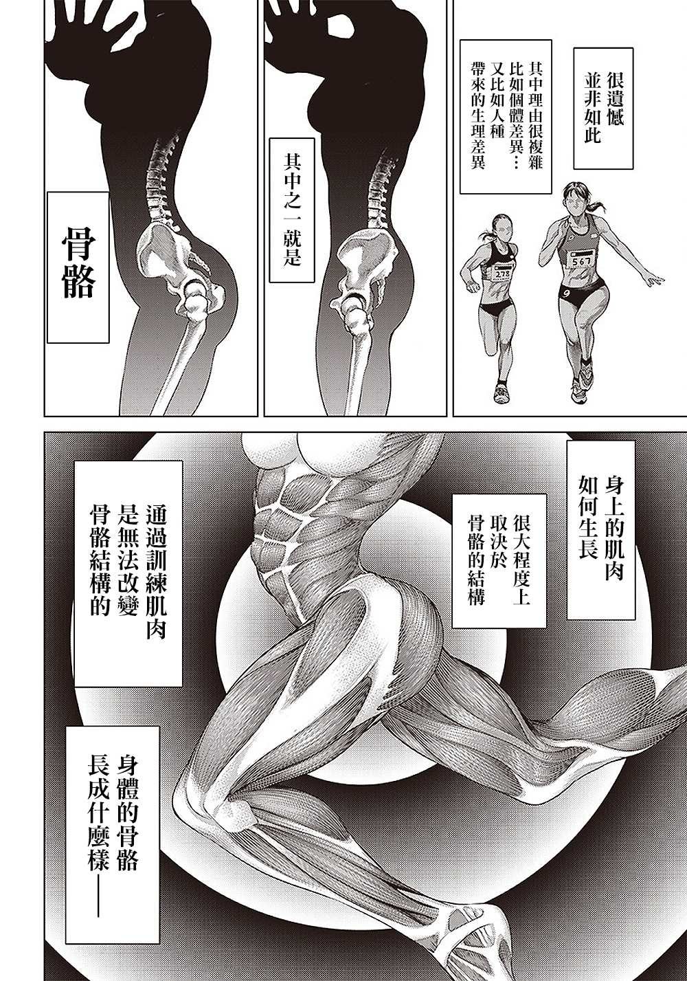 第134话 肌肉与弹性