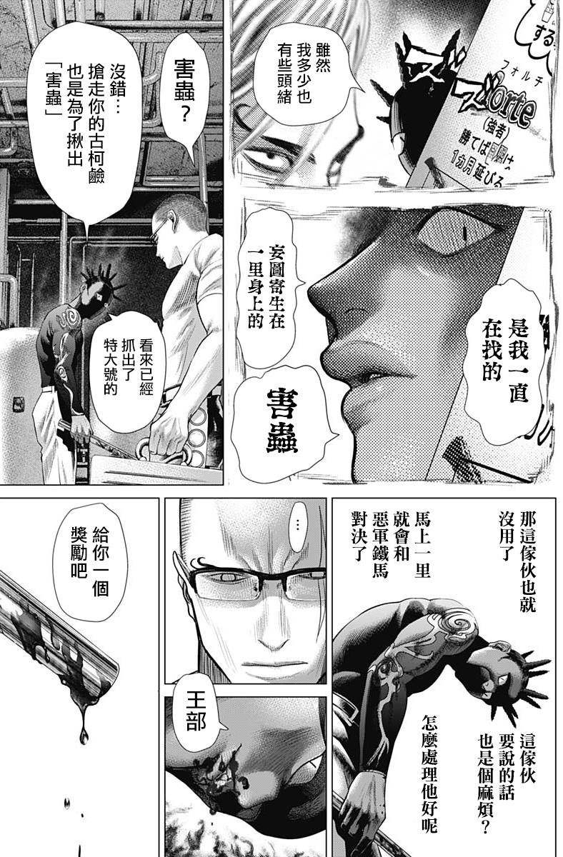 第73话 卡波耶拉vs功夫