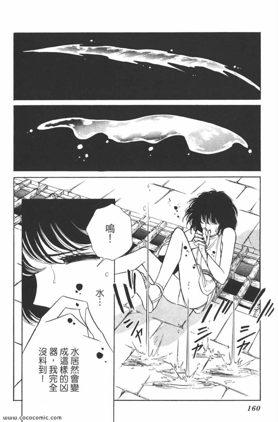 第31卷