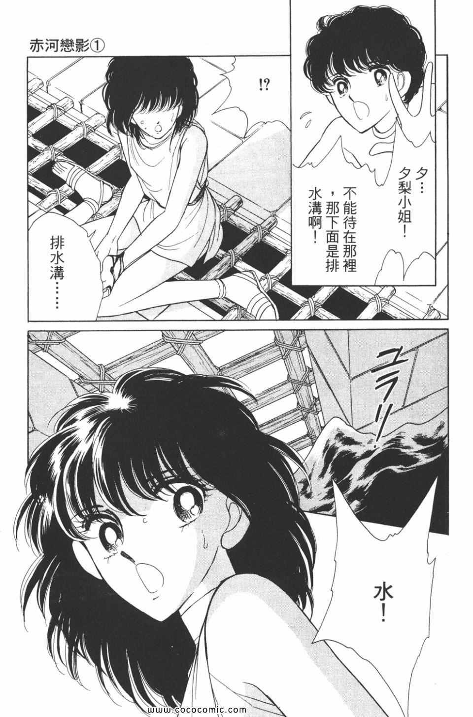 第31卷