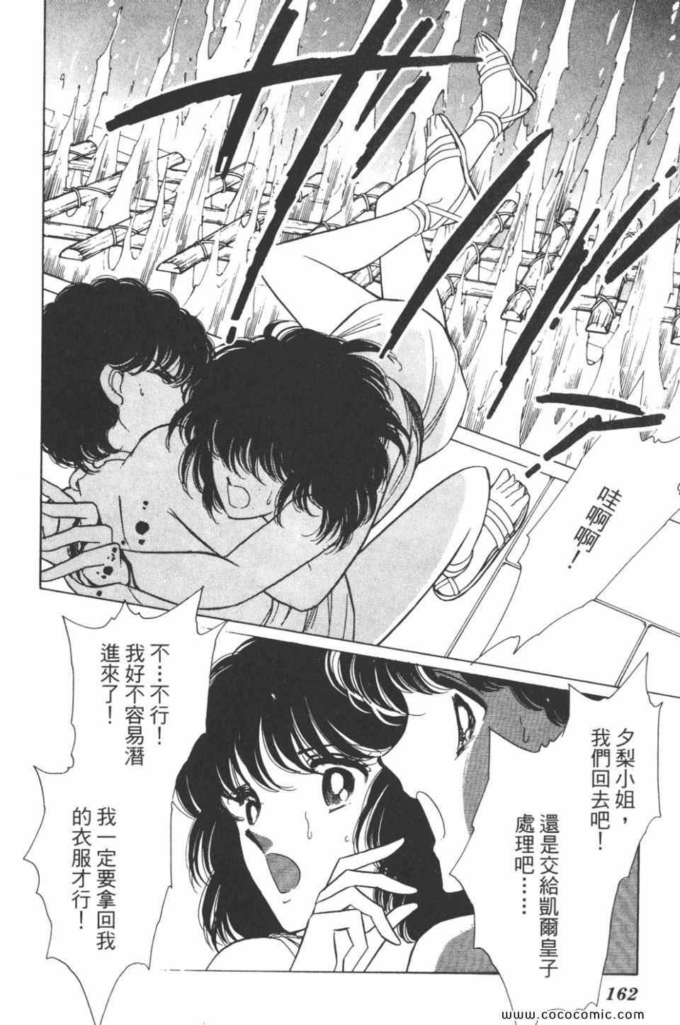第31卷