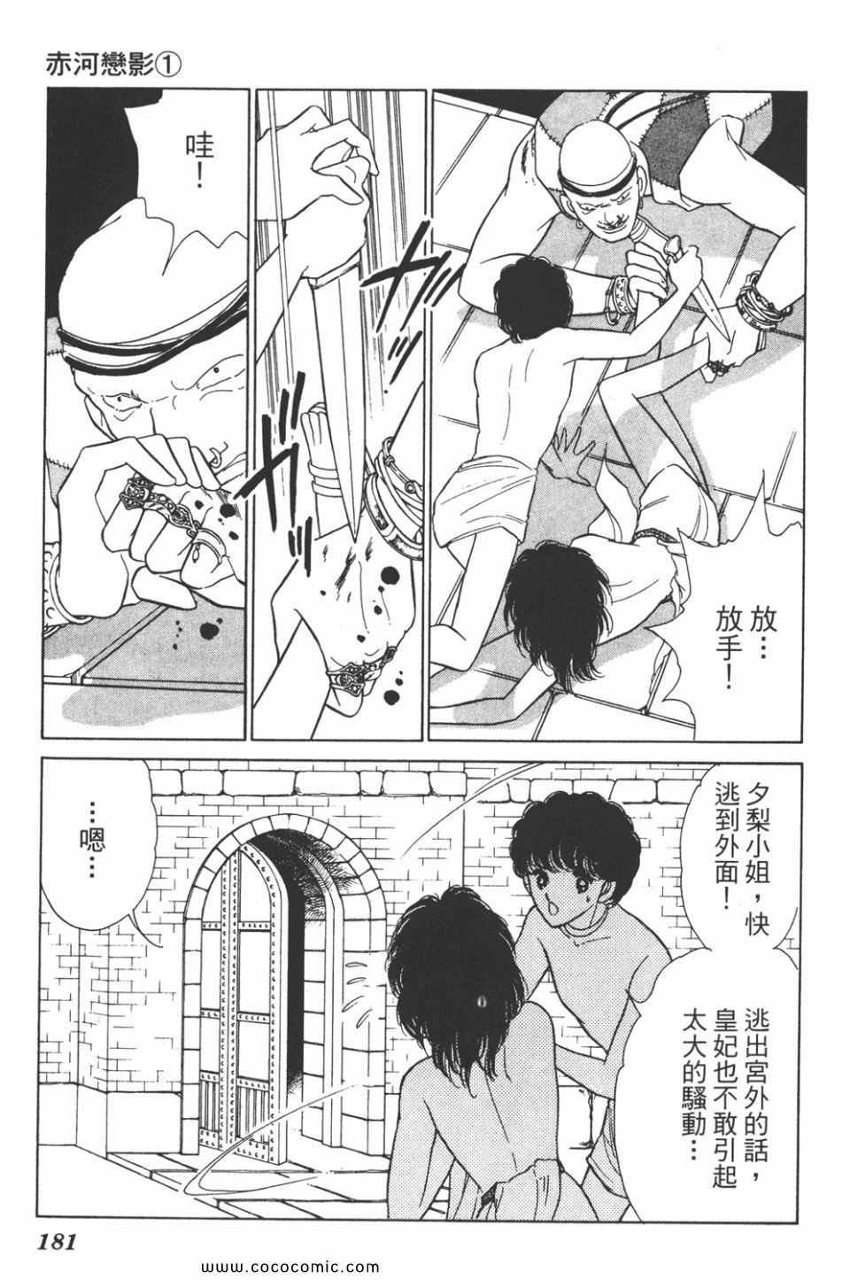 第31卷