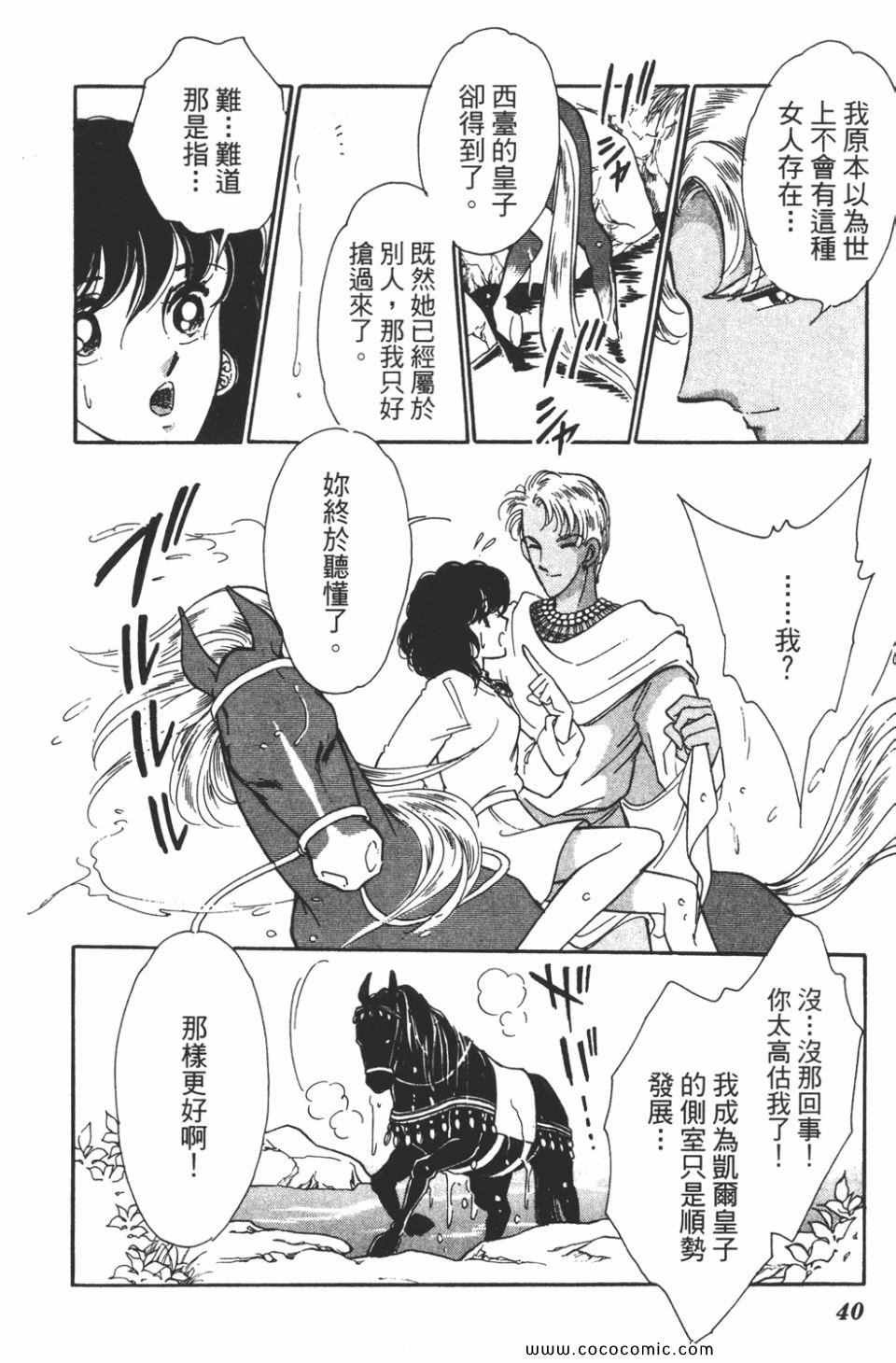 第41卷