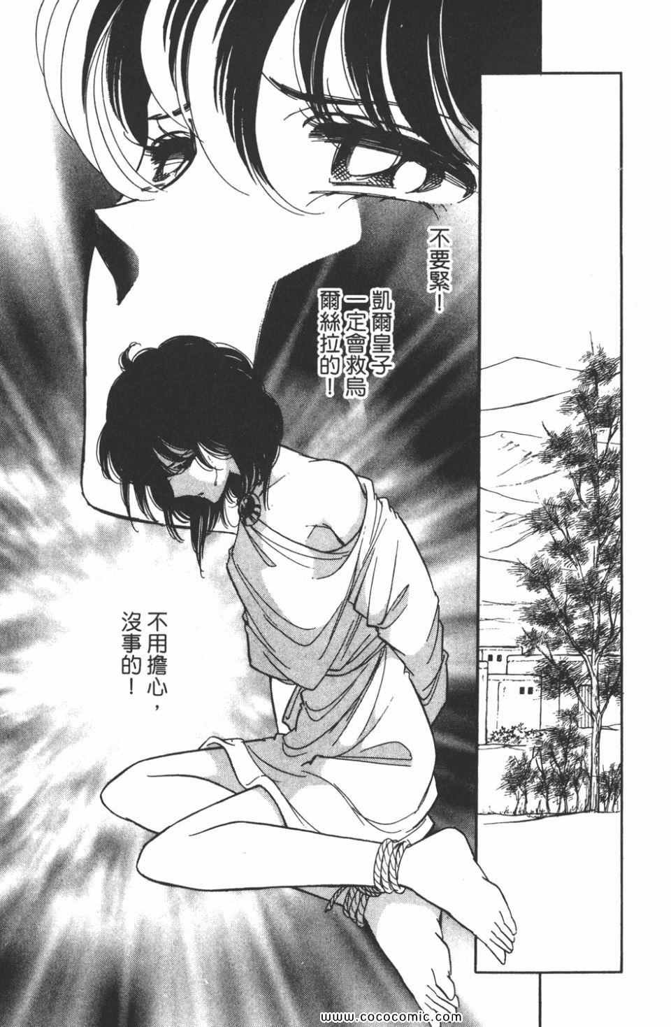 第41卷