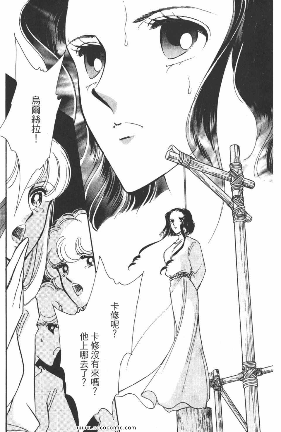 第41卷