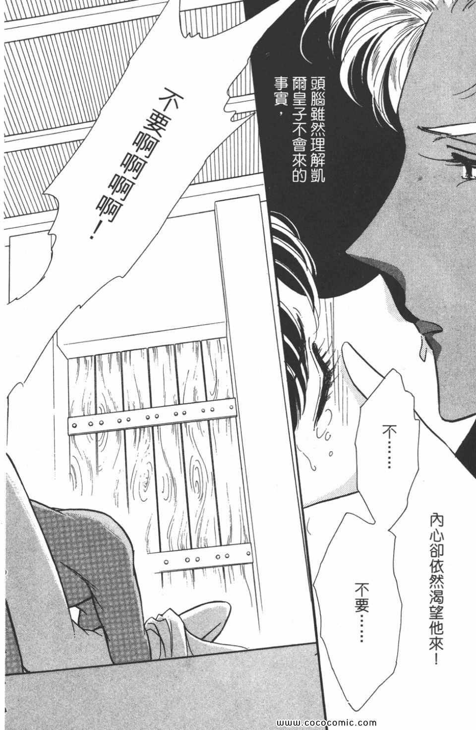 第41卷