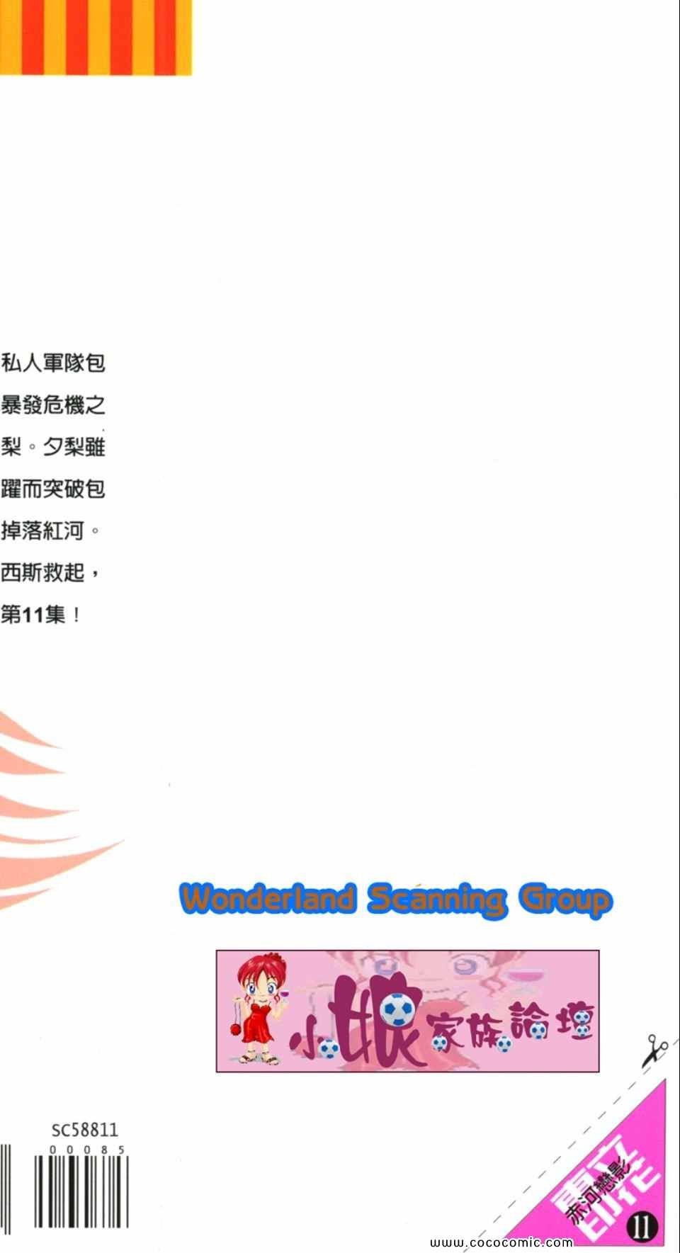 第41卷
