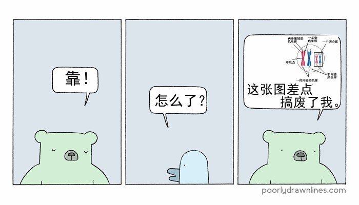 第05话