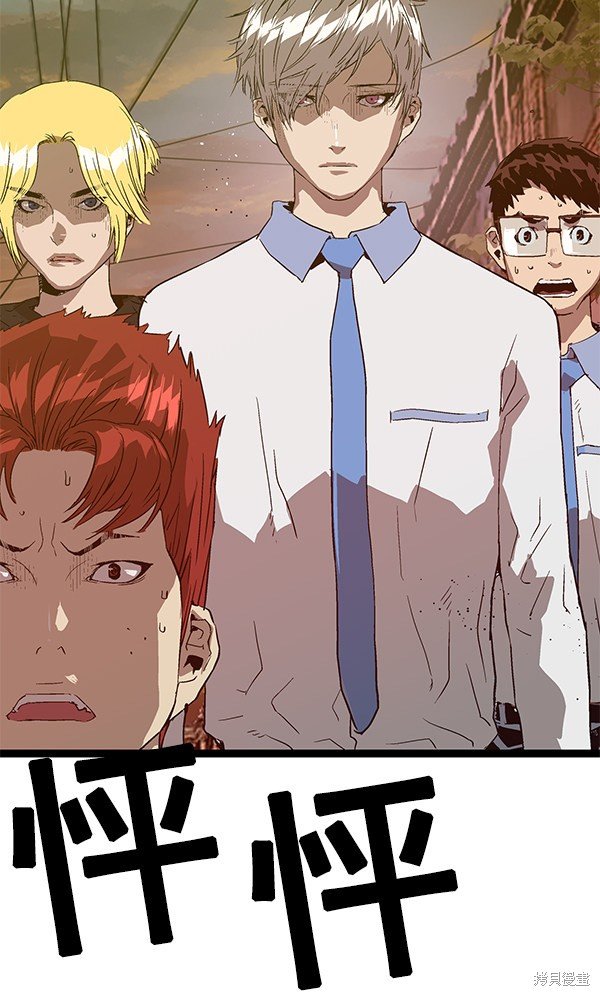 第116话