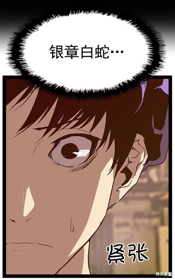 第117话