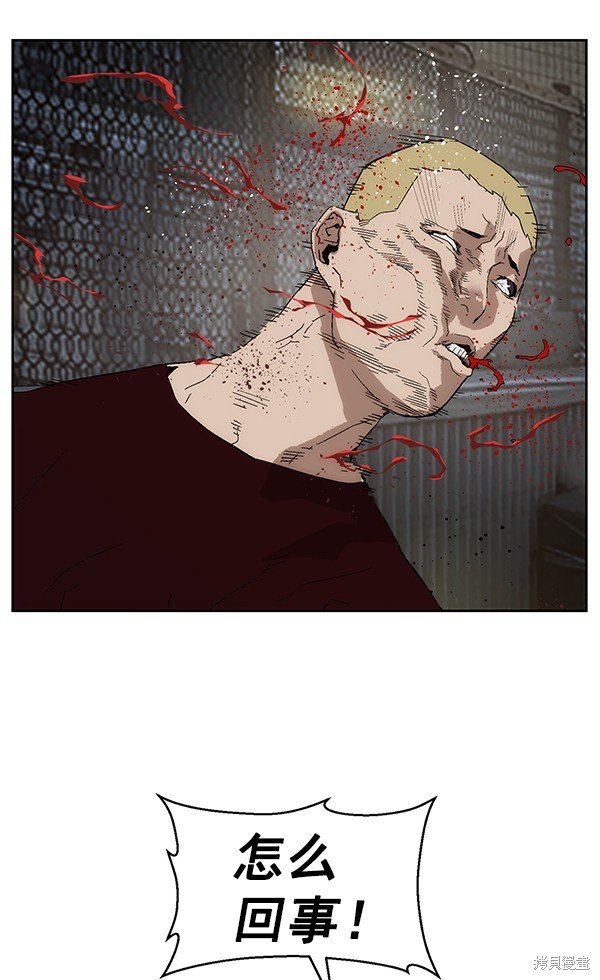 第142话