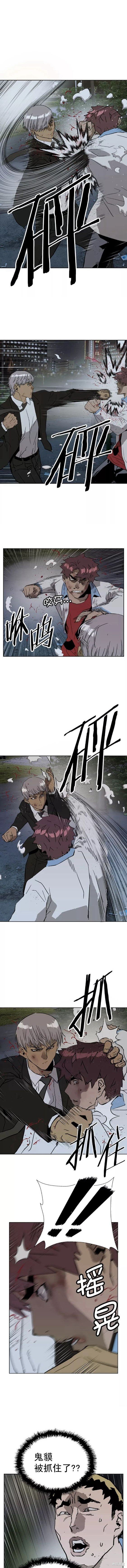 第213话