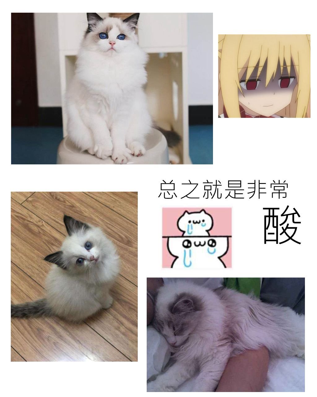 11月18日更新
