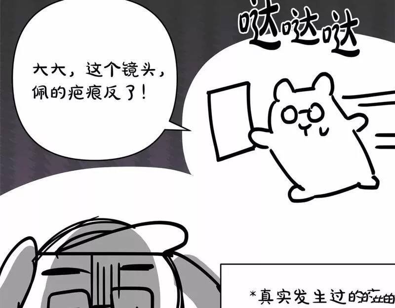 迟来的后记