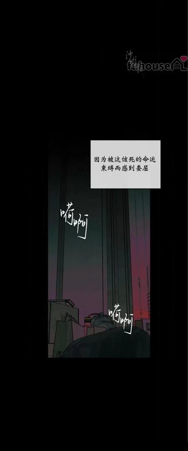 第72话